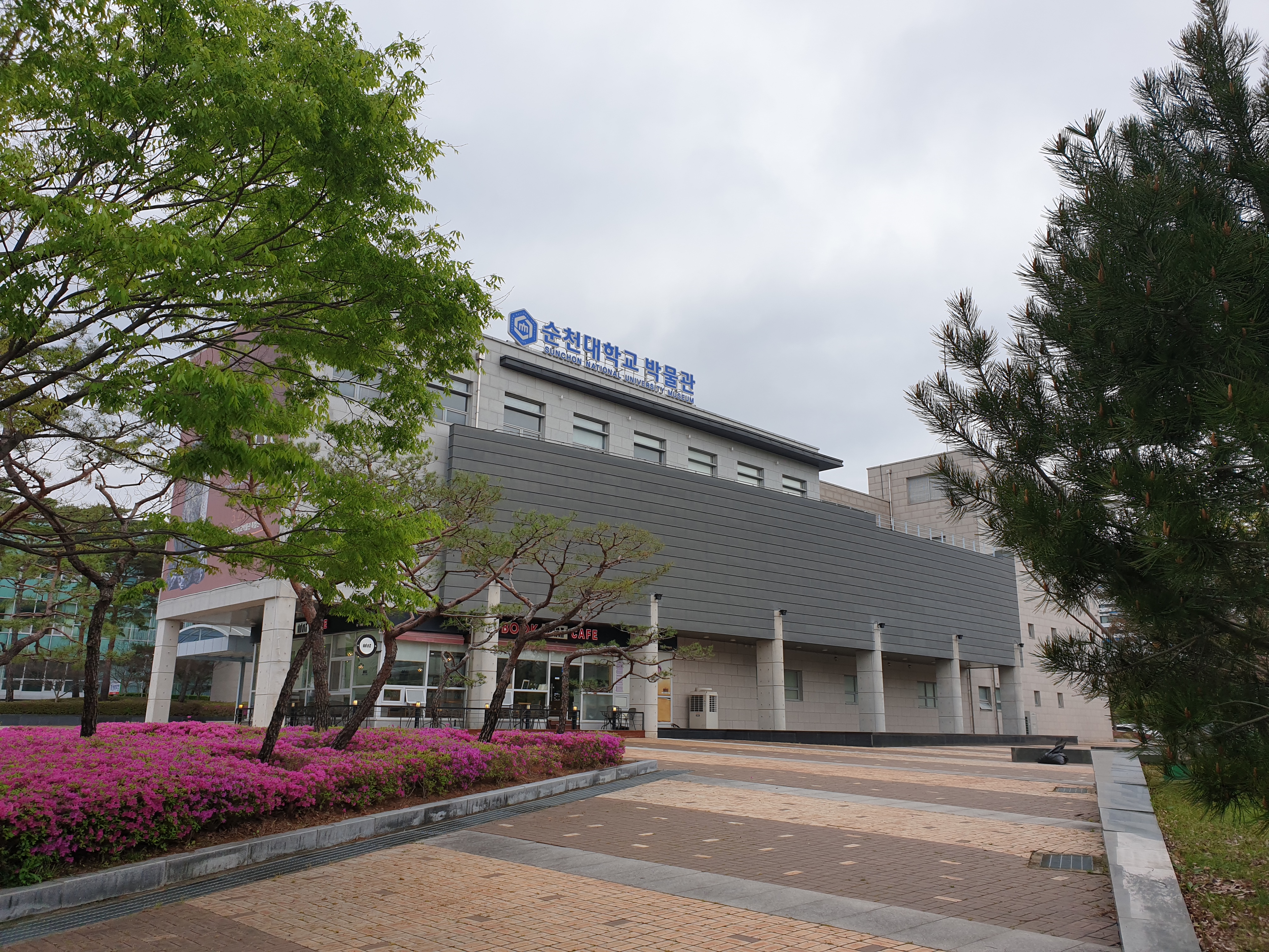 sc대학교 박물관.jpg