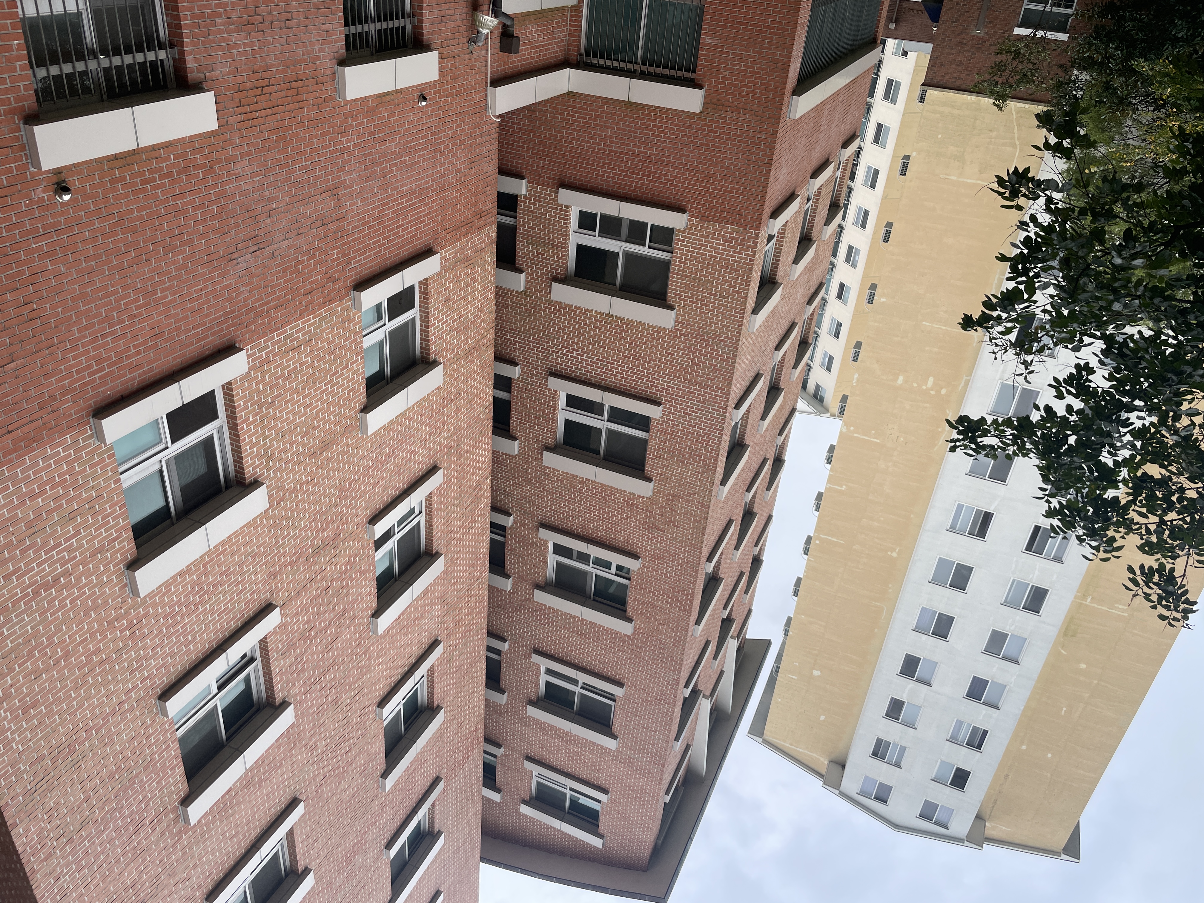 gsn대학교 영어캠프강의동.JPG