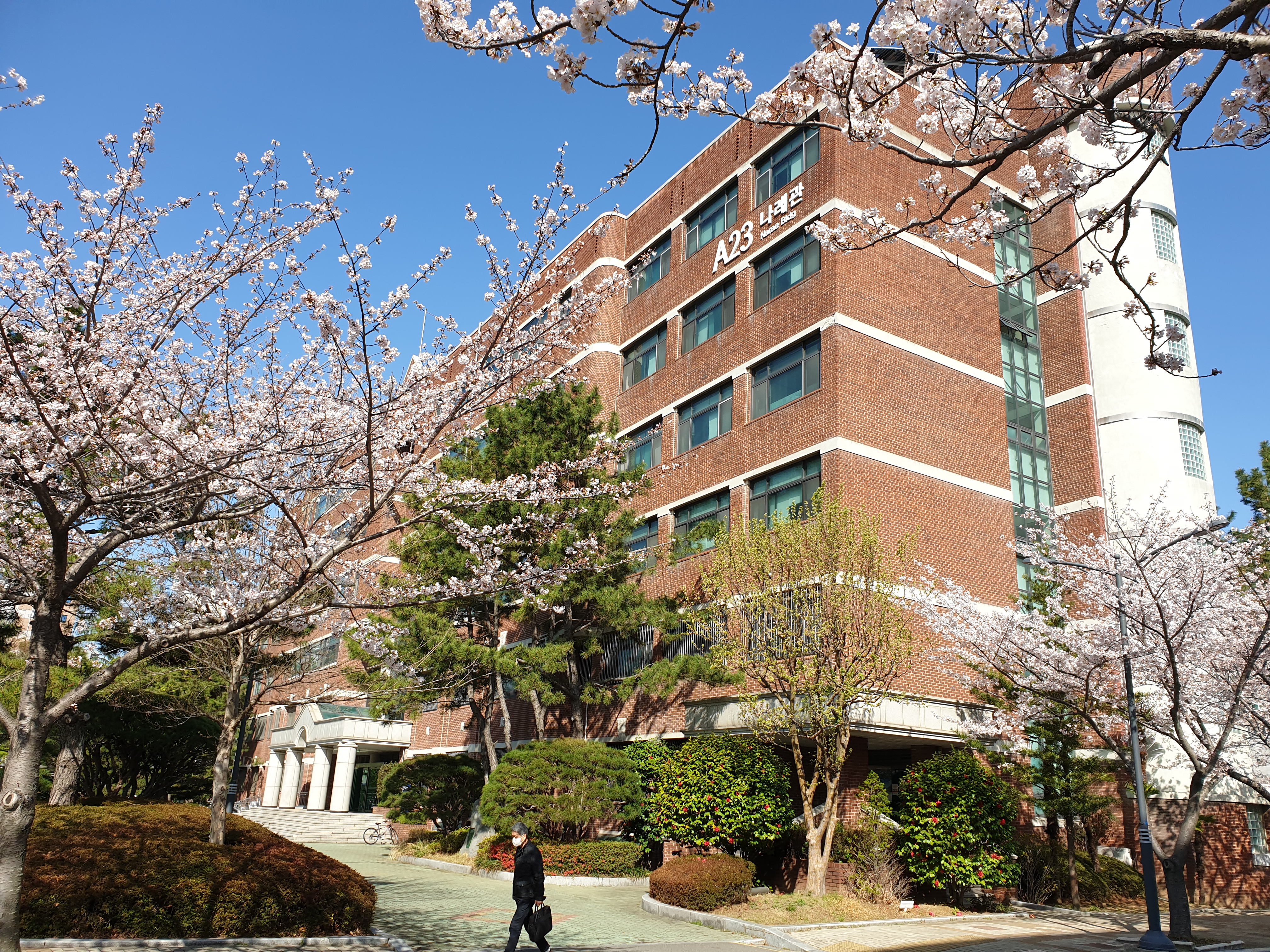 pk대학교 나래관.jpg