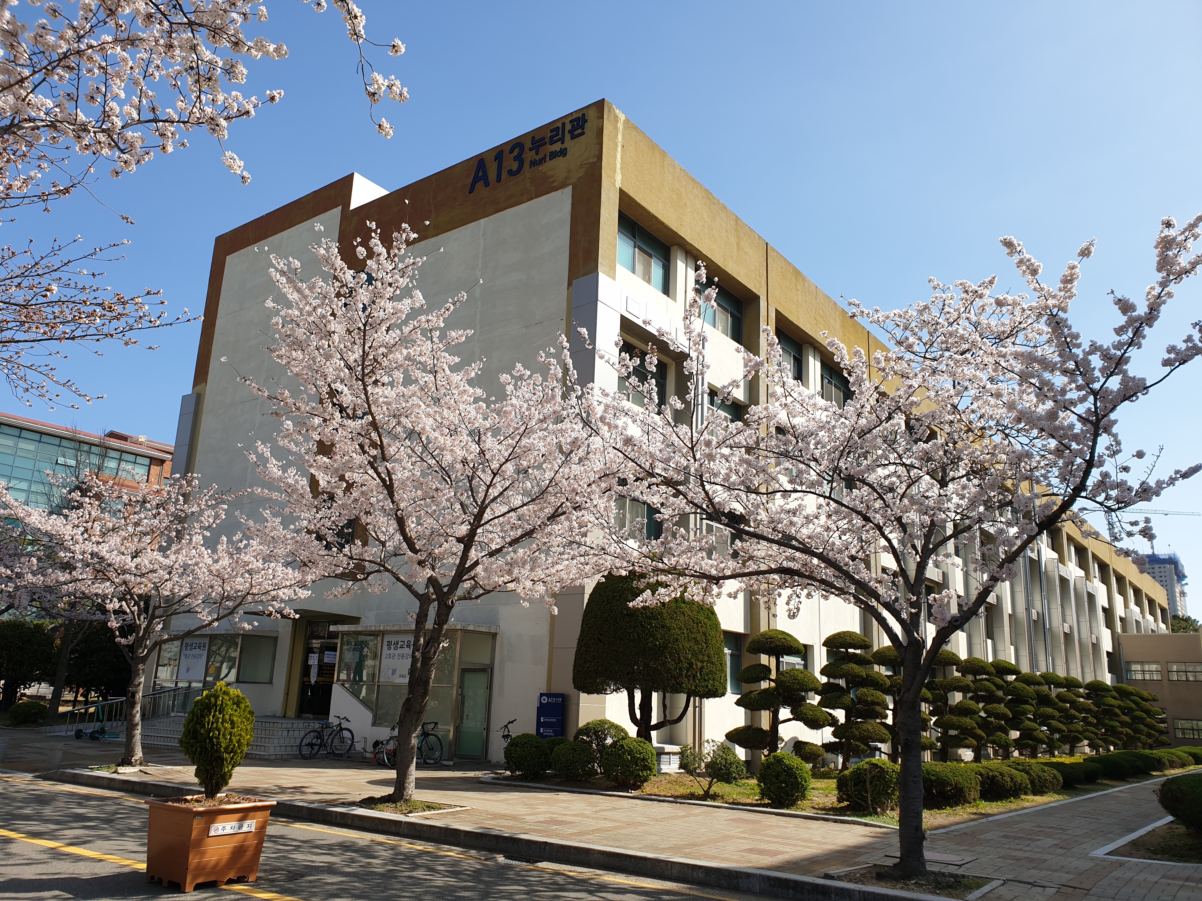 pk대학교 누리관.jpg